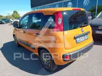 2020 Fiat Panda