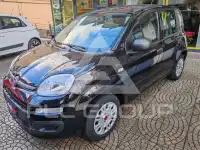 2020 Fiat Panda