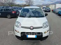 2020 Fiat Panda