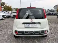2020 Fiat Panda