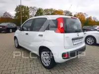 2020 Fiat Panda