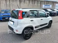 2020 Fiat Panda