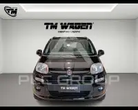 2020 Fiat Panda