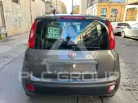 2020 Fiat Panda