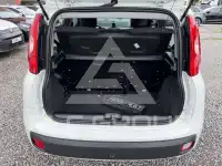 2020 Fiat Panda