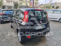 2020 Fiat Panda