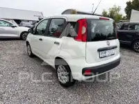 2020 Fiat Panda