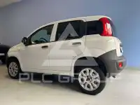 2020 Fiat Panda