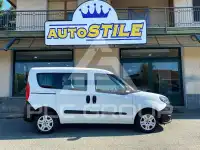 2020 Fiat Doblo