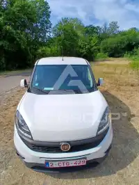 2020 Fiat Doblo
