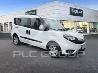 2020 Fiat Doblo