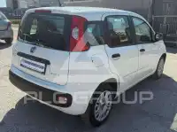 2020 Fiat Panda