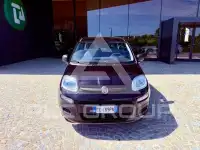 2020 Fiat Panda
