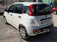 2020 Fiat Panda