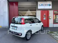 2020 Fiat Panda