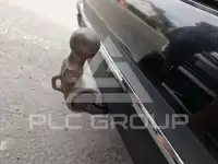 2020 Mercedes Benz E 300