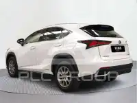2020 Lexus NX300
