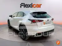 2020 Lexus NX300