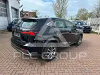 2020 Lexus NX300