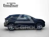 2020 Lexus NX300