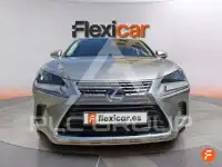 2020 Lexus NX300