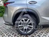 2020 Lexus NX300