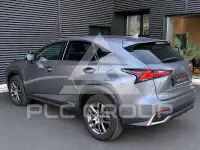 2020 Lexus NX300