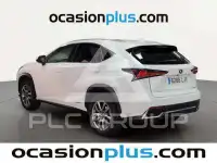 2020 Lexus NX300