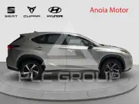 2020 Lexus NX300