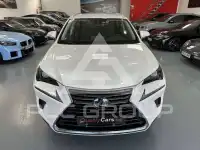 2020 Lexus NX300