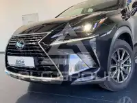 2020 Lexus NX300