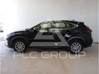 2020 Lexus NX300