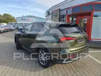 2020 Lexus NX300