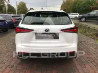 2020 Lexus NX300