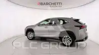 2020 Lexus NX300
