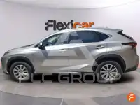 2020 Lexus NX300