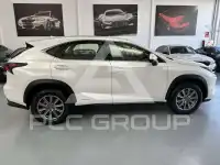 2020 Lexus NX300