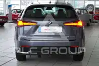 2020 Lexus NX300