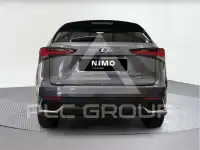 2020 Lexus NX300
