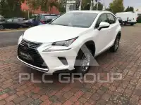 2020 Lexus NX300