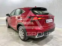 2020 Lexus NX300