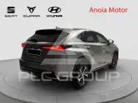 2020 Lexus NX300