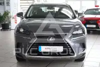 2020 Lexus NX300