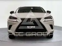2020 Lexus NX300