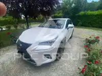 2020 Lexus NX300