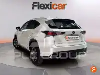 2020 Lexus NX300