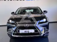 2020 Lexus NX300