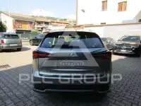 2020 Lexus NX300