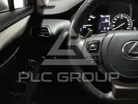 2020 Lexus NX300