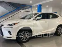 2020 Lexus NX300